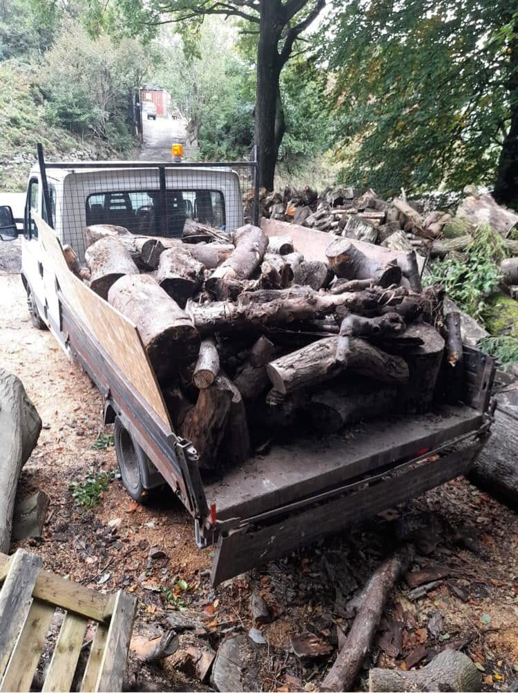 Collection vehicle carrying cut logs