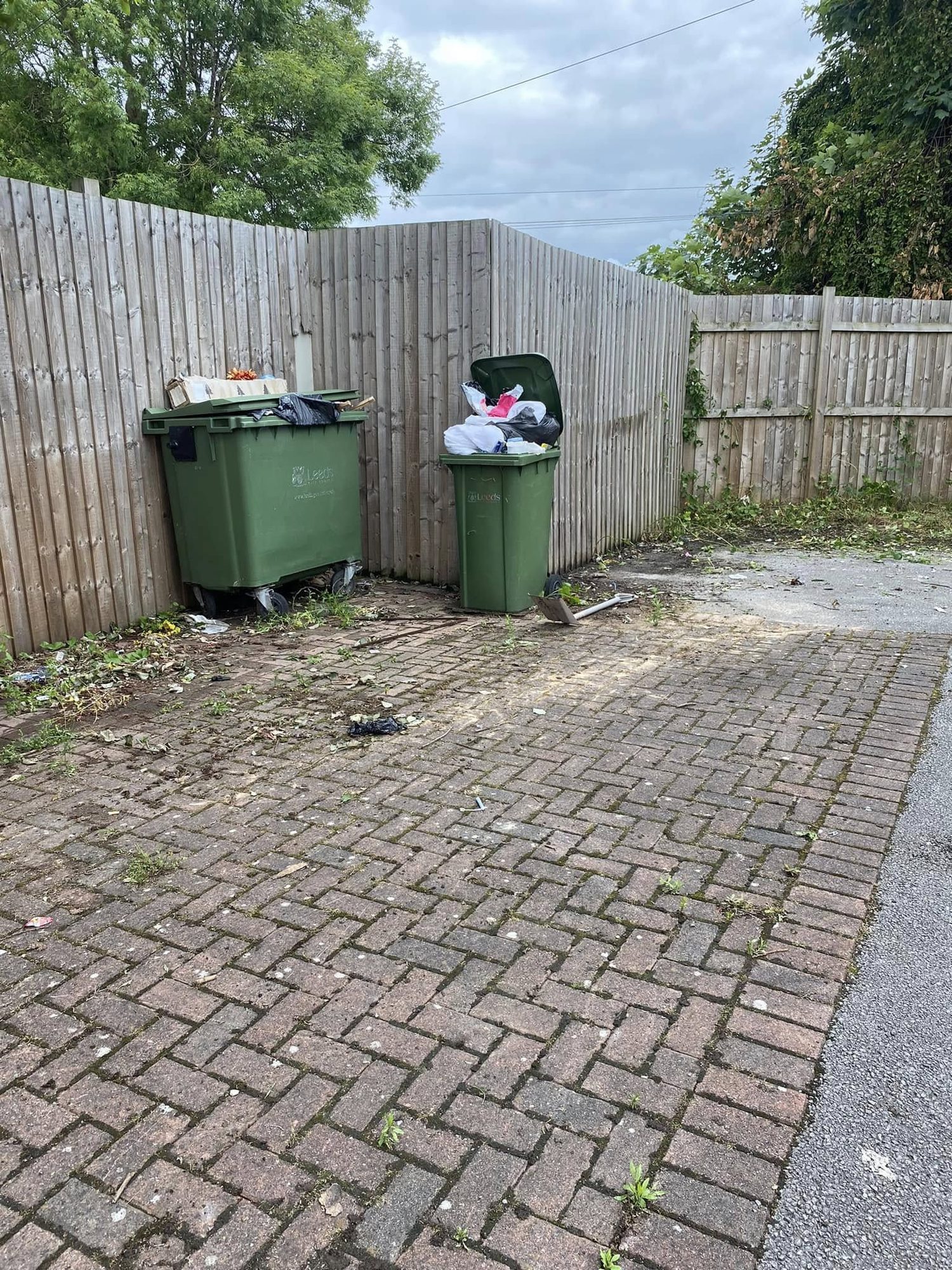 Paved garden with two wheelie bins