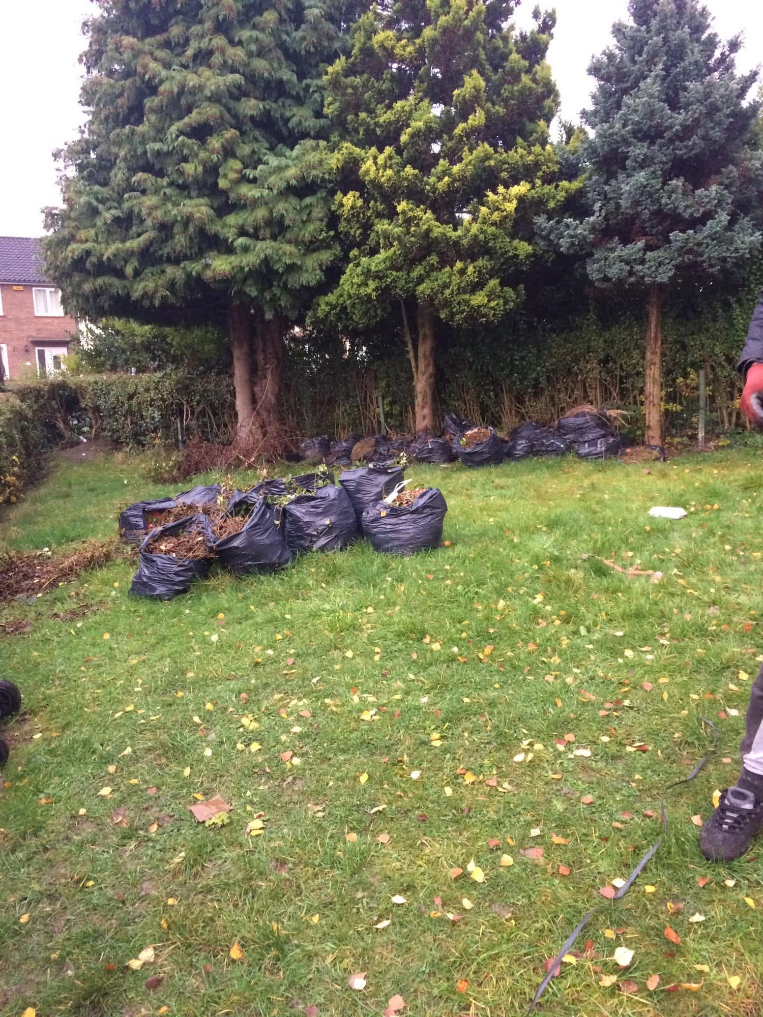 Bags of garden cuttings grouped on a lawn