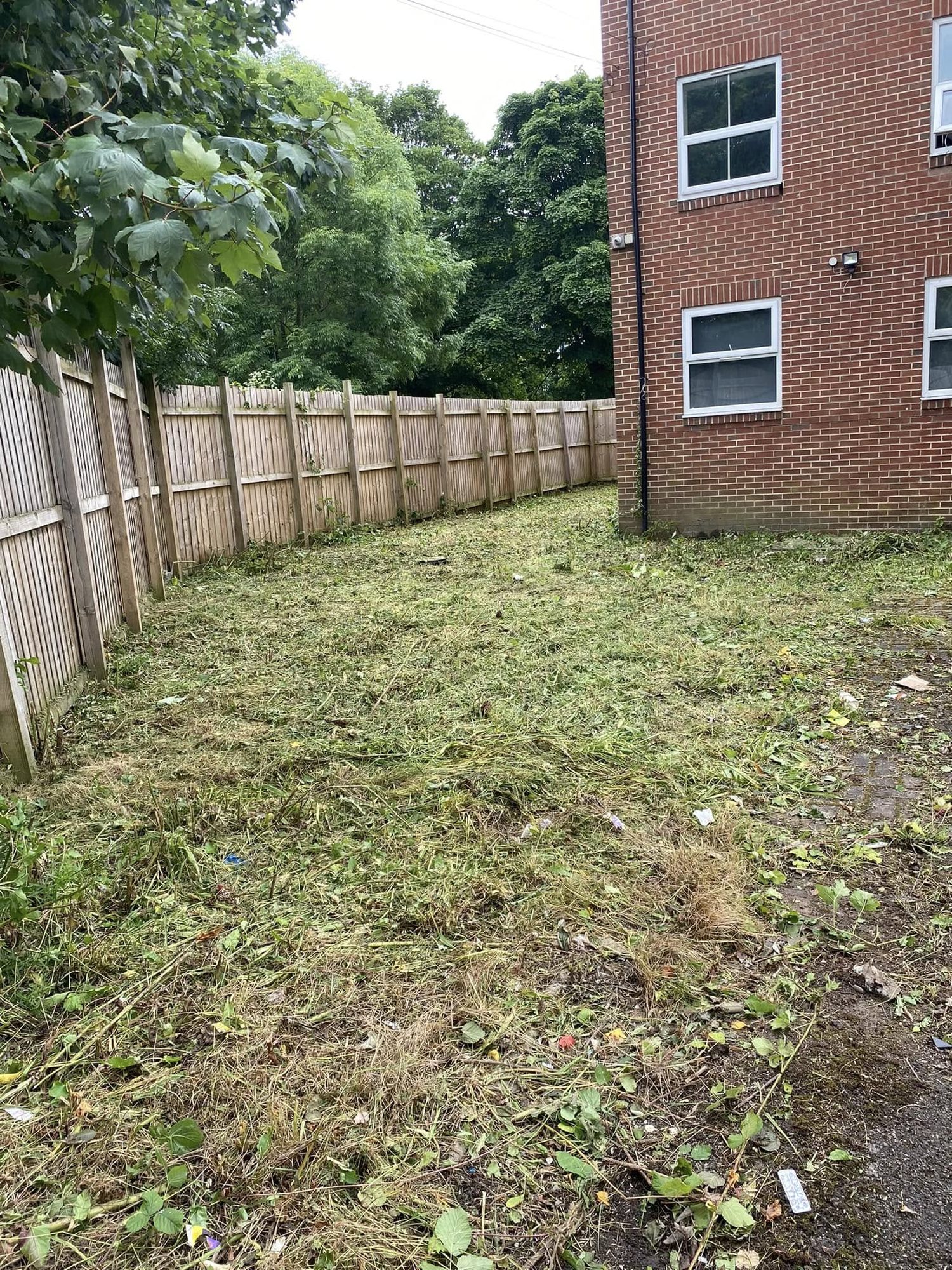 Cut vegetation and cleared ground beside a brick building