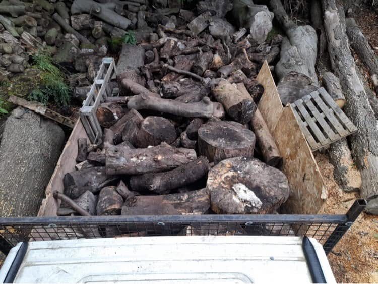 Vehicle bed loaded with cut timber logs