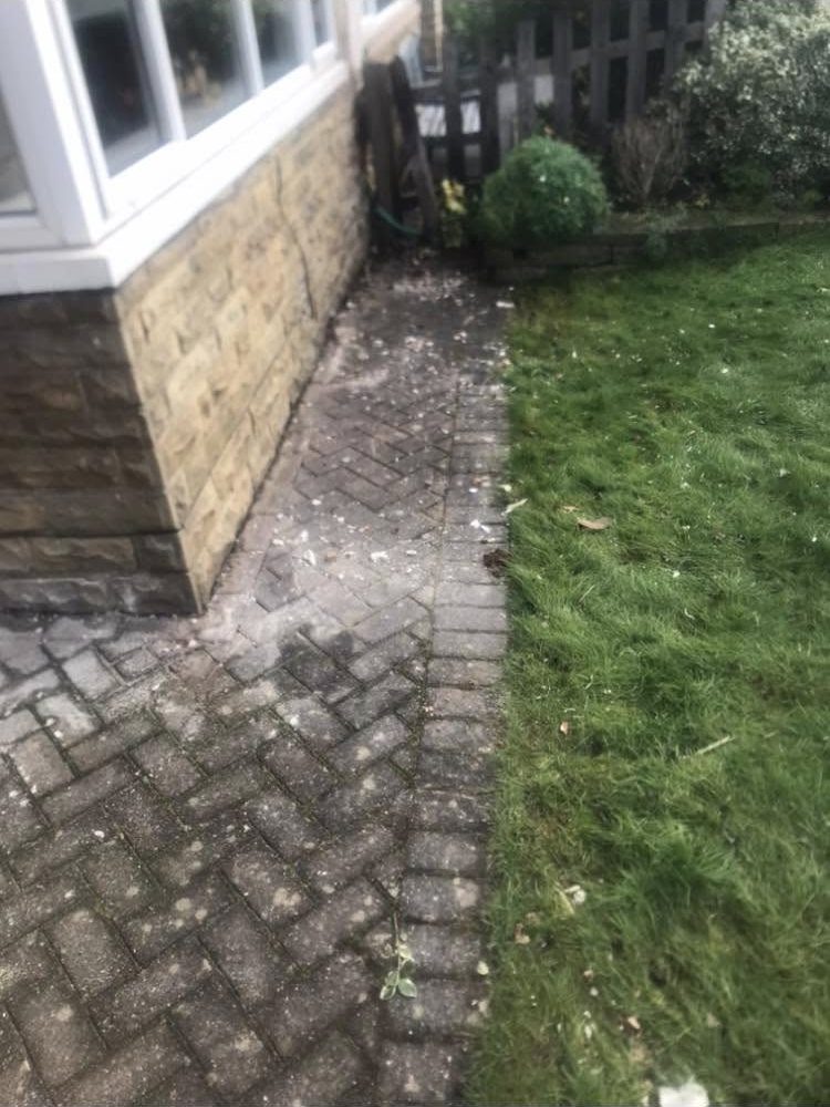 Residential path and lawn beside a house